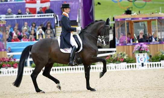 anky boots dressage